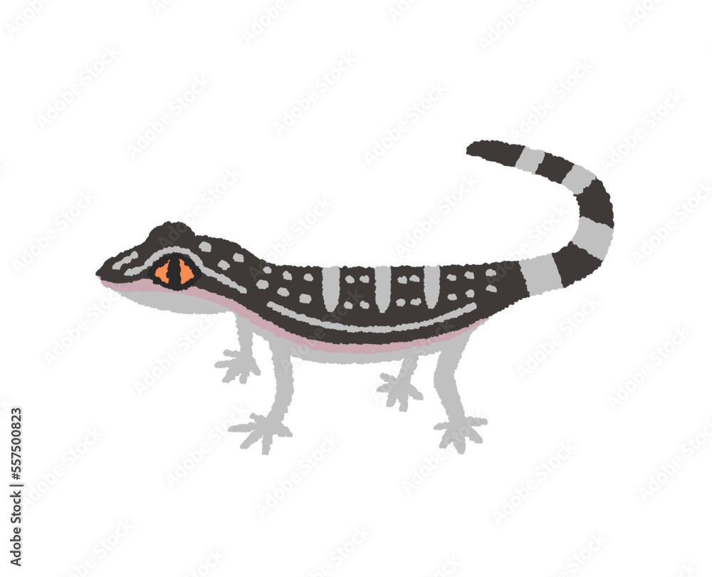 Naklejka premium クロイワトカゲモドキの手描きイラスト