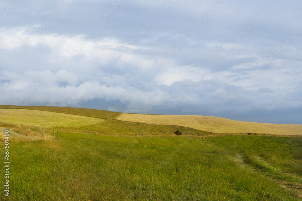 Fototapeta premium green field and sky