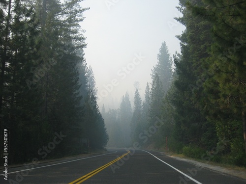 Morning Foggy Road in California, traveling to Yosemite 
