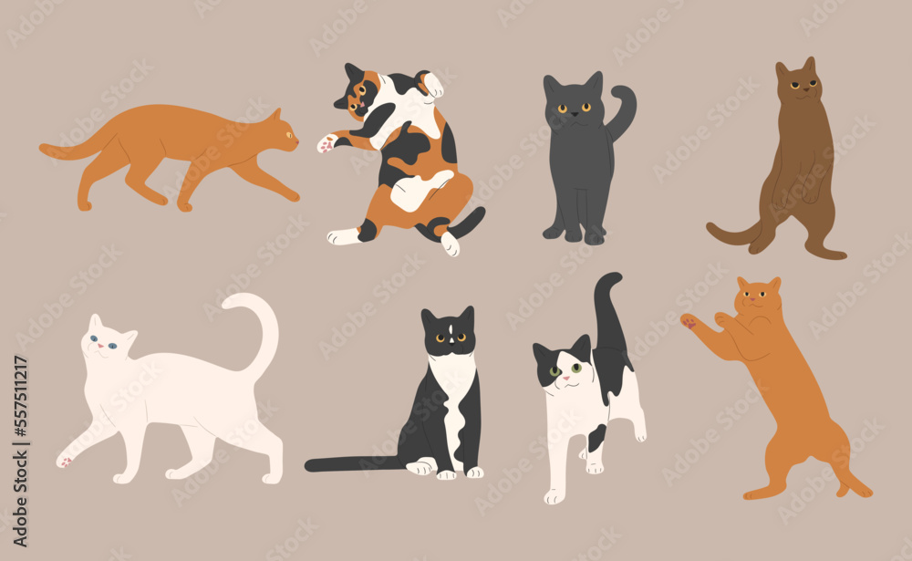 cat cute 11 on a white background, vector illustration. cat cute 11 on a white background, vector illustration.