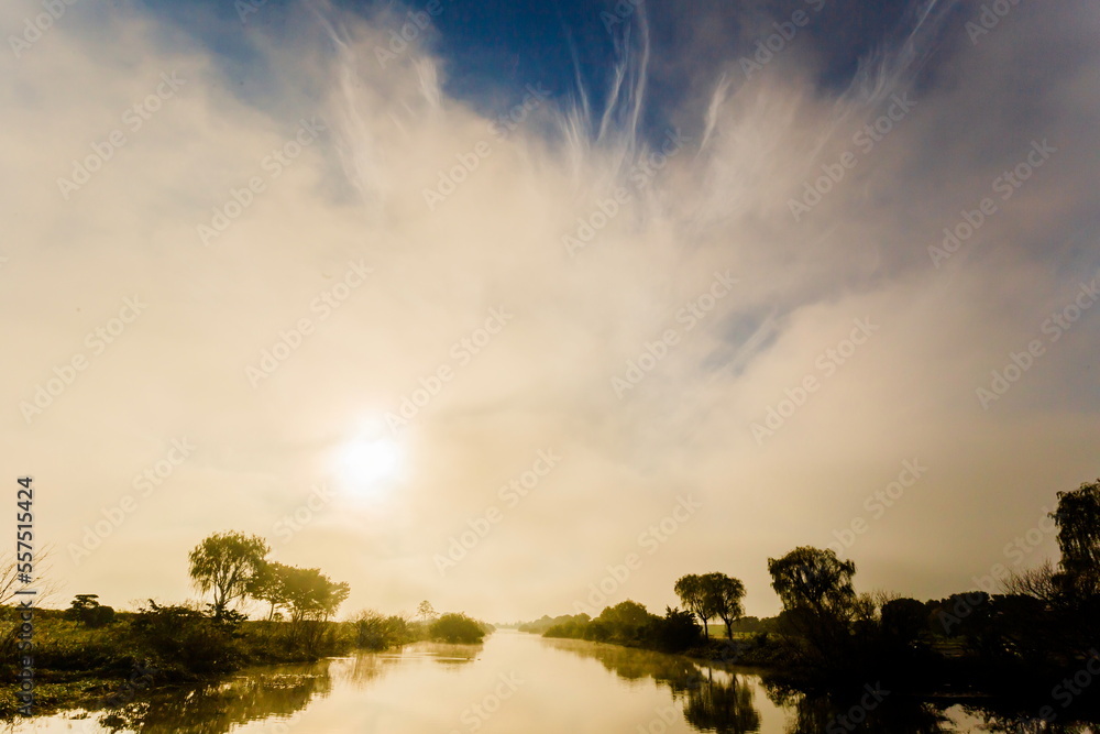 Obraz premium 朝の川の風景