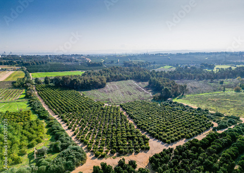 High resolution panorama image of Rehovot Winter Pond before the flood- Rehovot Israel