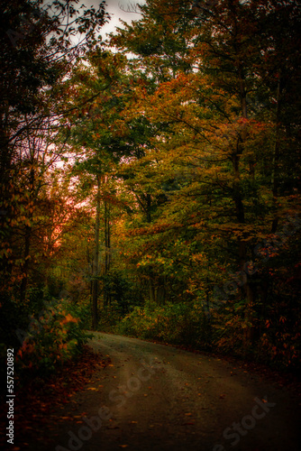 Fall Drive © wendy