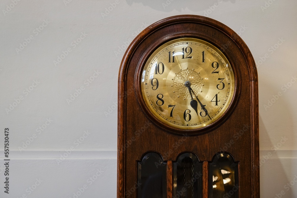 Obraz na płótnie stary zegar stojący w salonie