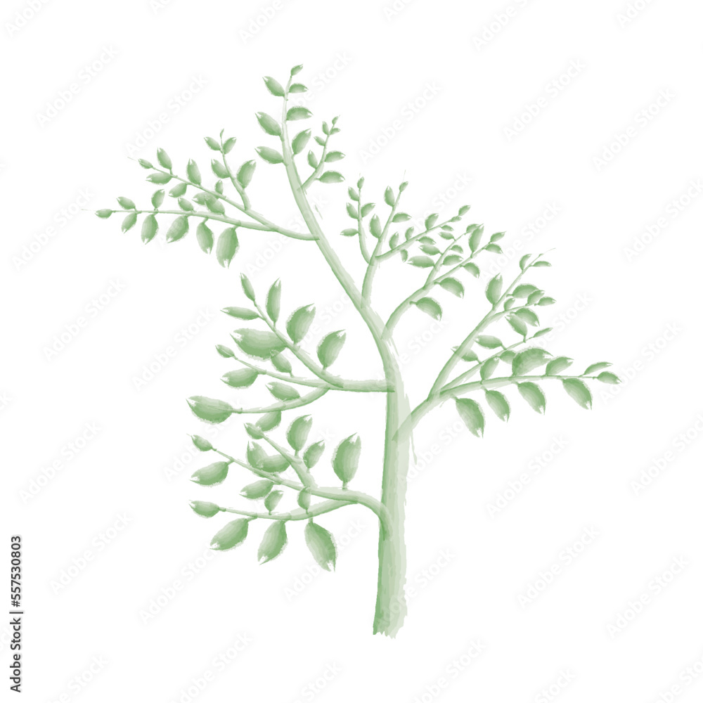 green tree isolated on white vintage vector water color effect 