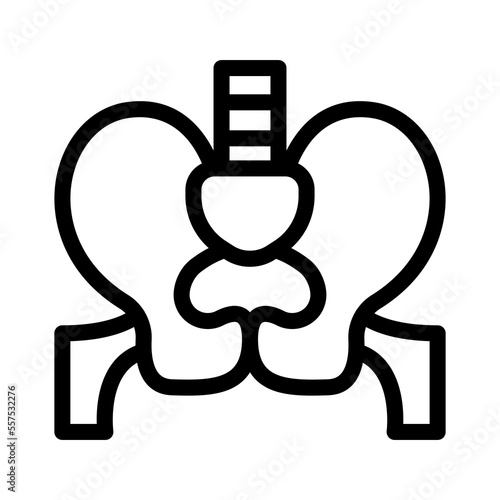 pelvis line icon illustration vector graphic