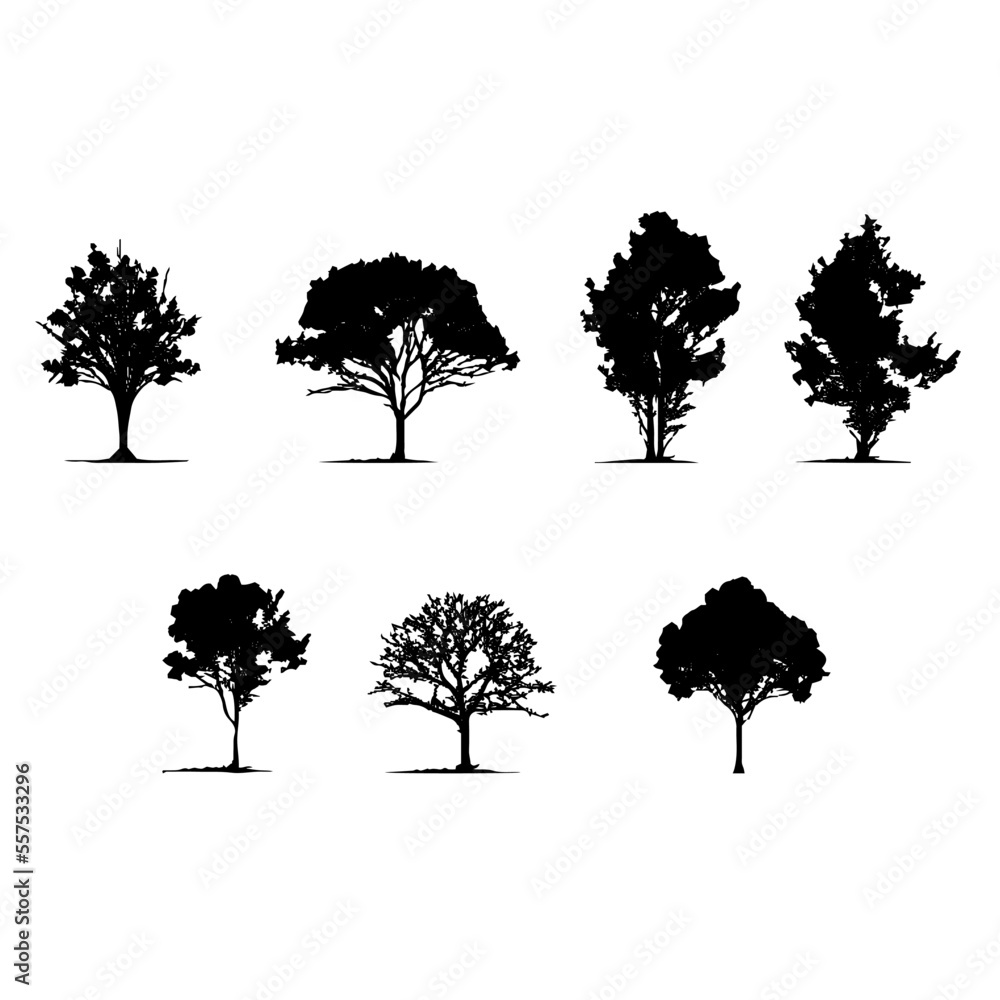 Fototapeta premium 7 alberi