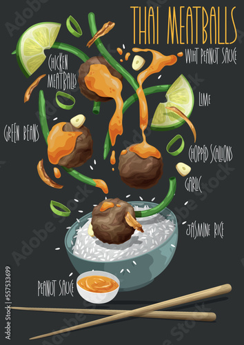 Thai Meatballs with peanut sauce. Vector illustration