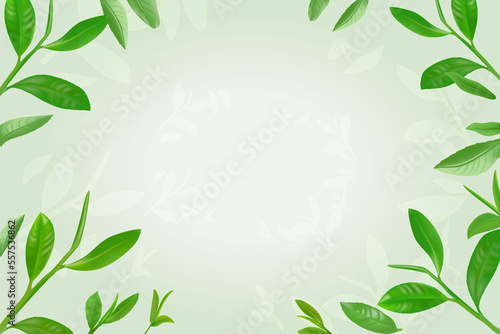 green tea leaves background