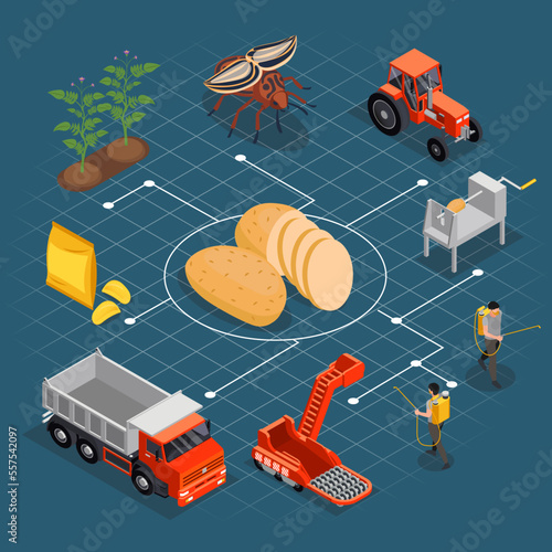 Chips Production Isometric Flowchart