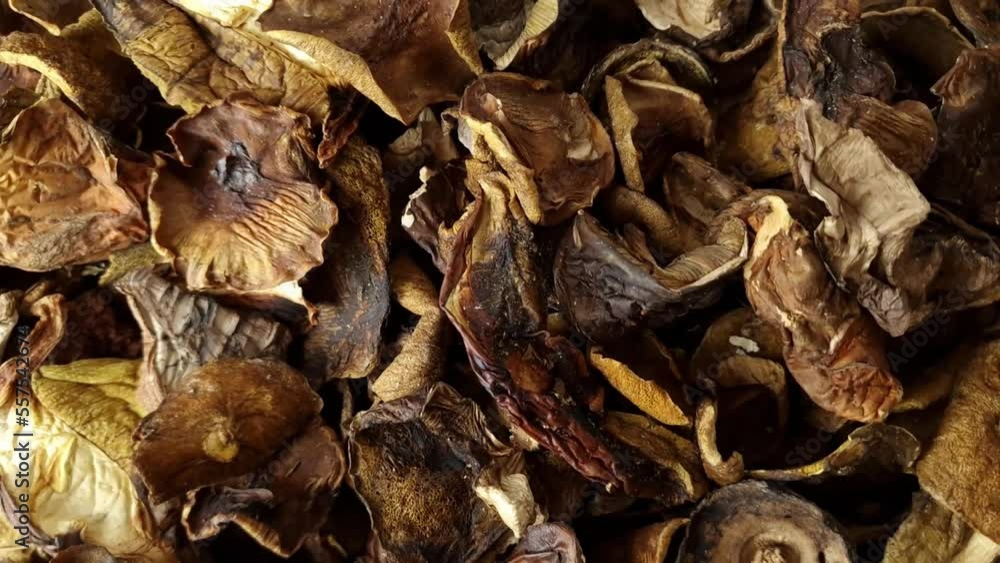 Close-up of dried mushrooms including boletus. Top view Close-up of dried mushrooms including boletus. Top view