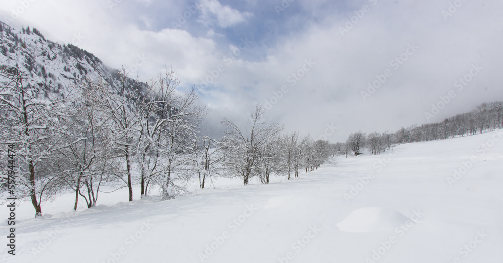 Obraz premium paysage sous la neige en hiver dans les Alpes à Vaujany