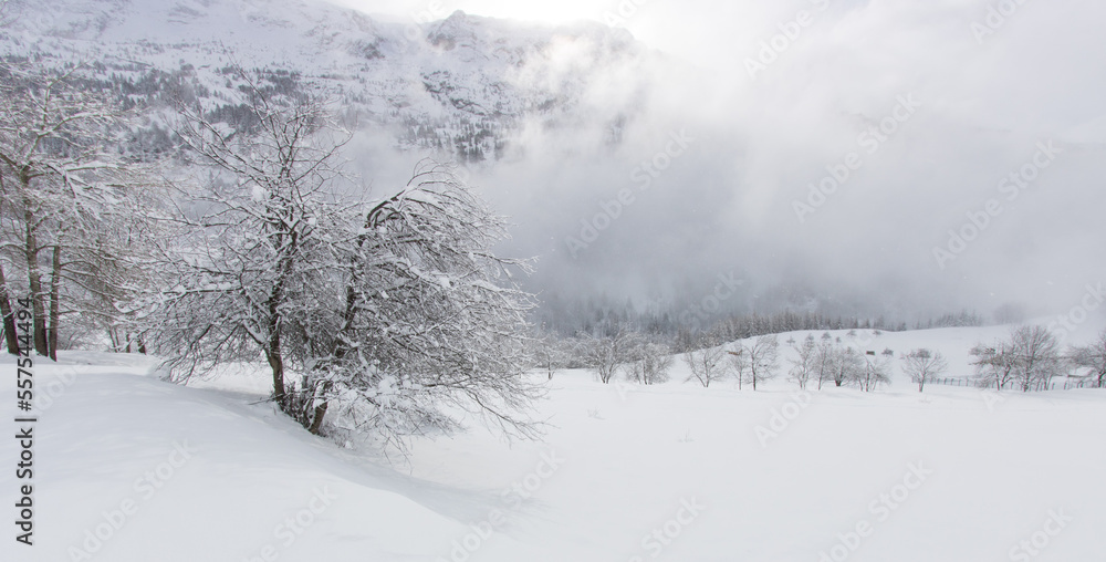 paysage sous la neige en hiver dans les Alpes à Vaujany paysage sous la neige en hiver dans les Alpes à Vaujany