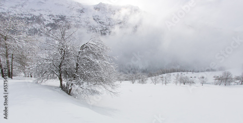 paysage sous la neige en hiver dans les Alpes à Vaujany