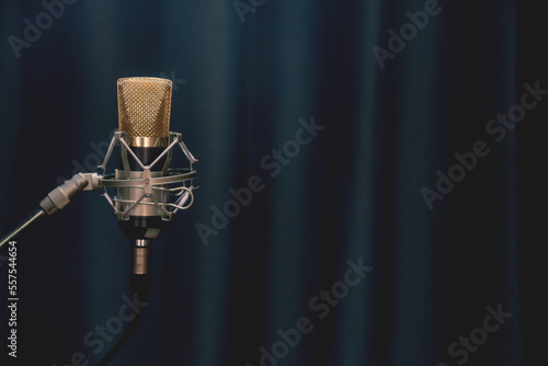 Professional condenser microphone in studio There is a cloth scene in the background.