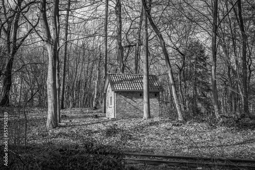 old house in the woods, in black and white