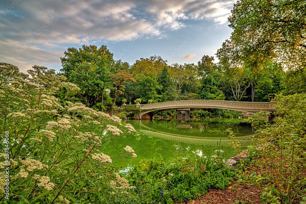 Bow bridge in the early morning in summer Bow bridge in the early morning in summer