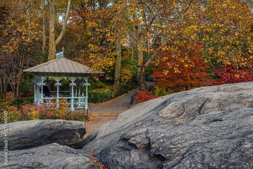 Autumn in Central Park photo