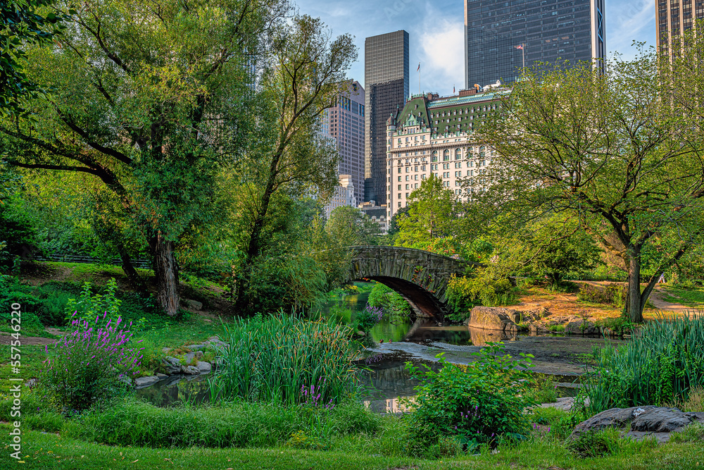 Obraz premium Gapstow Bridge in Central Park, summer early morning