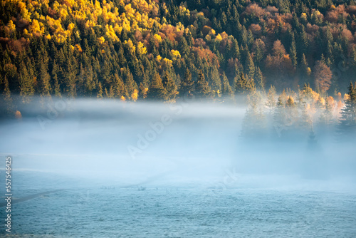 Colorful trees on the hill ...