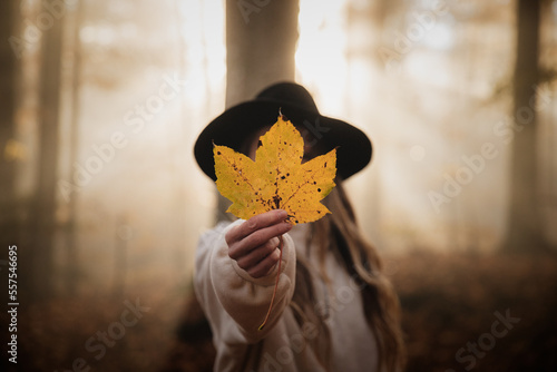 Autumn portrait woman cover...