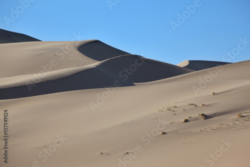 The sand dune before sunrise