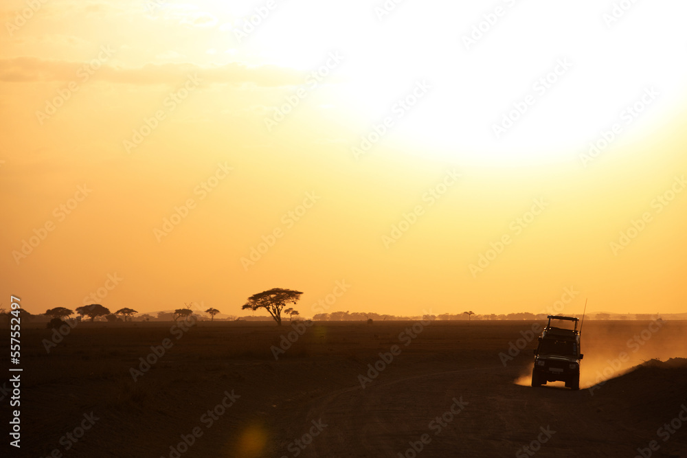 Tourists returning back from game drive during sunset at Amboseli natinal park, kenya