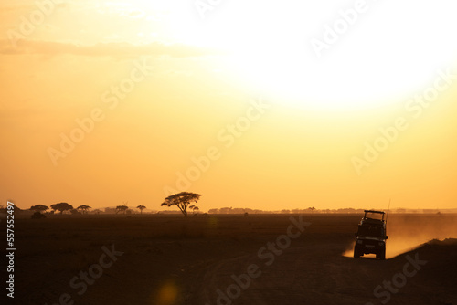 Tourists returning back from game drive during sunset at Amboseli natinal park  kenya