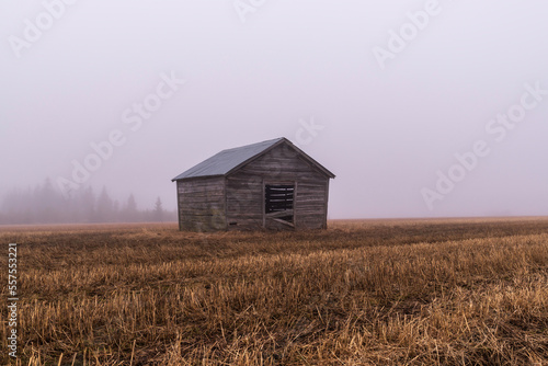 Old barn in the field on a foggy autumn day. Österbotten/Pohjanmaa, Finland