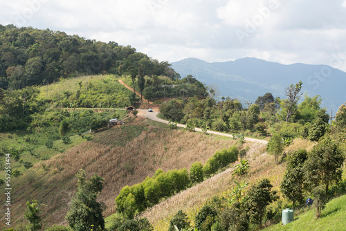Wallpaper Mural  Beautiful landscape with forest and mountain slopes.in Thailand.Mountain green hills landscape. Mountain forest landscape Torontodigital.ca