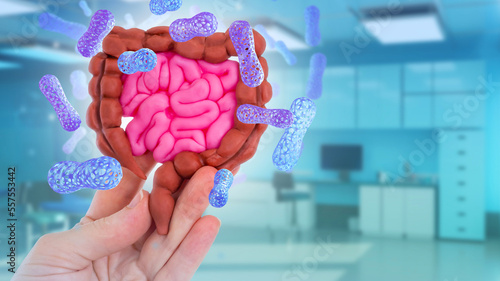 Intestinal tract with probi...