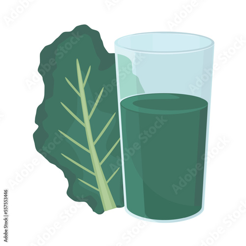 Vector illustration of kale and green juice.