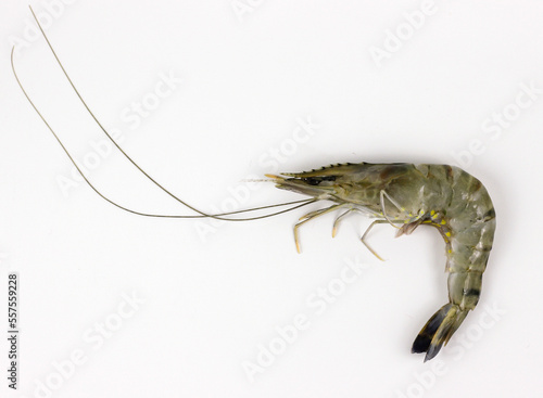 Fresh raw shrimp on white background