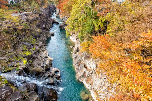Autumn Scene at Genbikei Gorge in Iwate, Japan