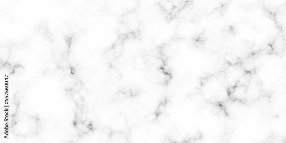White marble texture panorama background pattern with high resolution. white architecuture italian marble surface and tailes for background or texture.
White marble texture panorama background pattern with high resolution. white architecuture italian marble surface and tailes for background or texture.