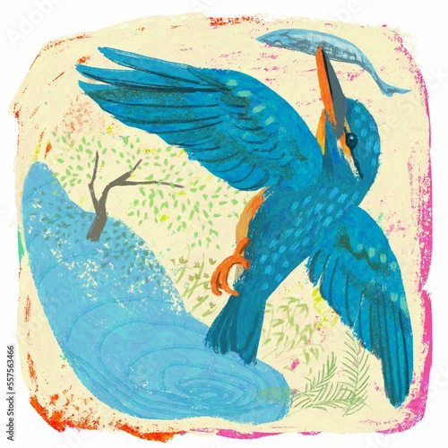 魚をとるかわいい野鳥 カワセミ のクレヨン風のイラスト