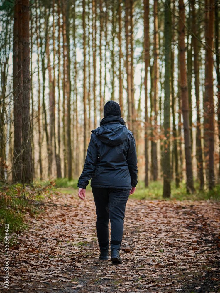 A walk in the forest. Outdoor leisure. Active leisure time. A walk in the forest. Outdoor leisure. Active leisure time.