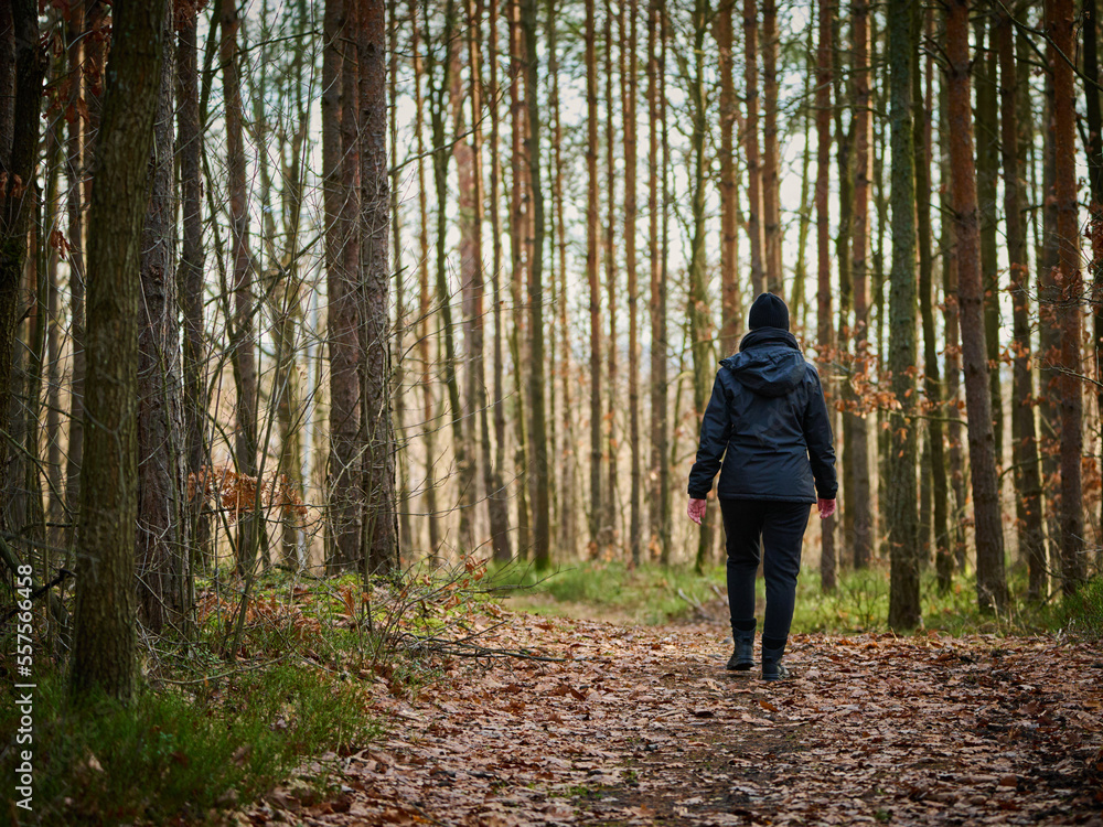 A walk in the forest. Outdoor leisure. Active leisure time. A walk in the forest. Outdoor leisure. Active leisure time.