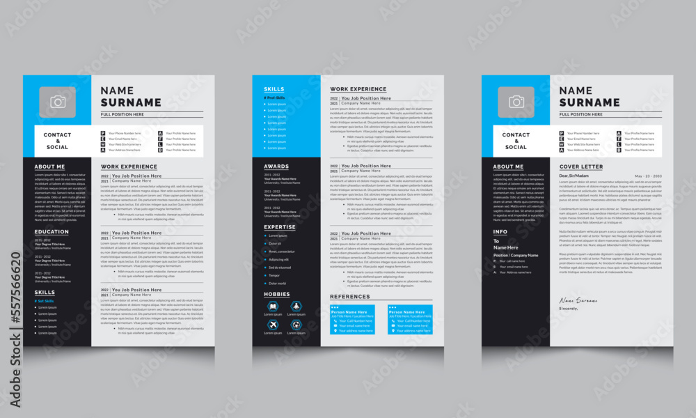 Professional Resume & Cv Layout CV Template Design Kit