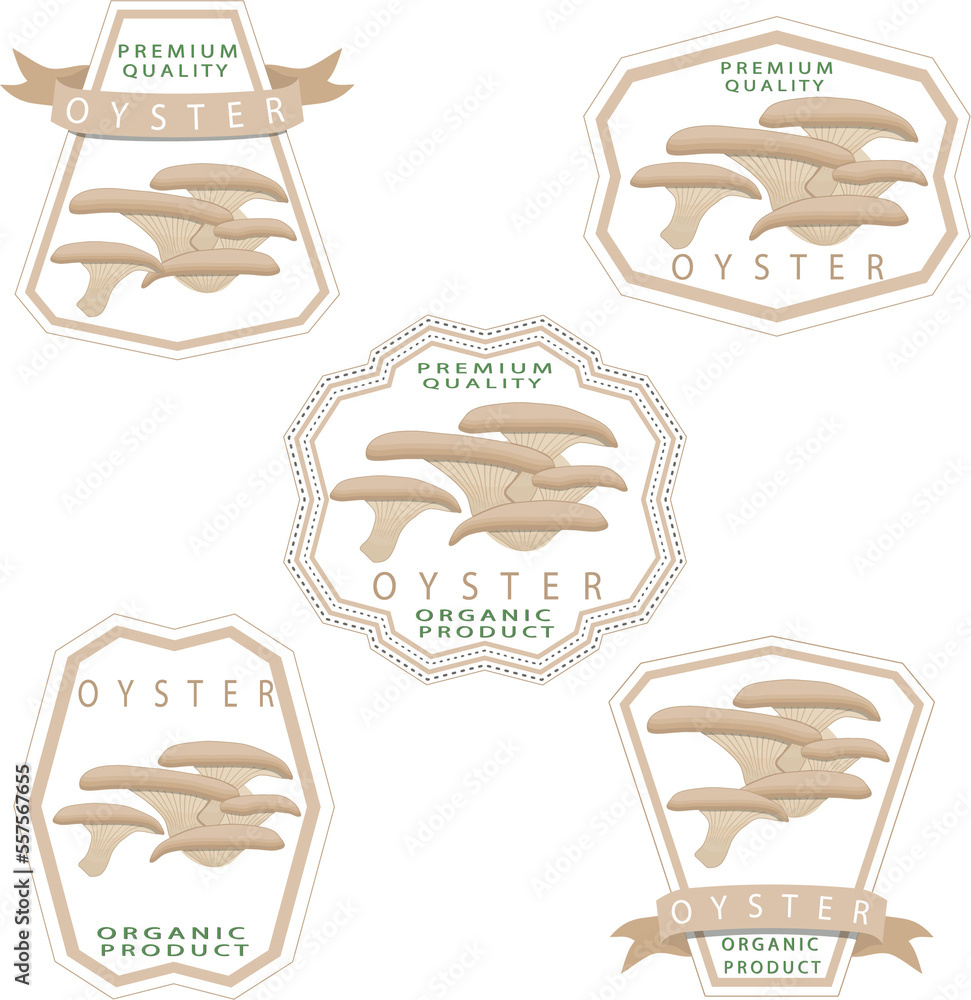 Sweet juicy tasty natural eco product mushroom Sweet juicy tasty natural eco product mushroom