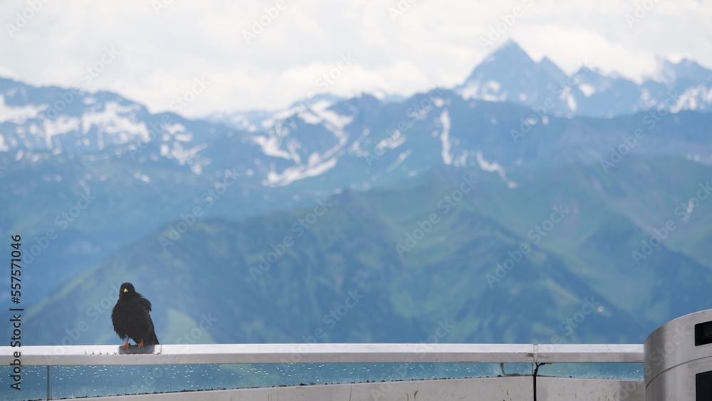 Fototapeta premium High Altitude Rest