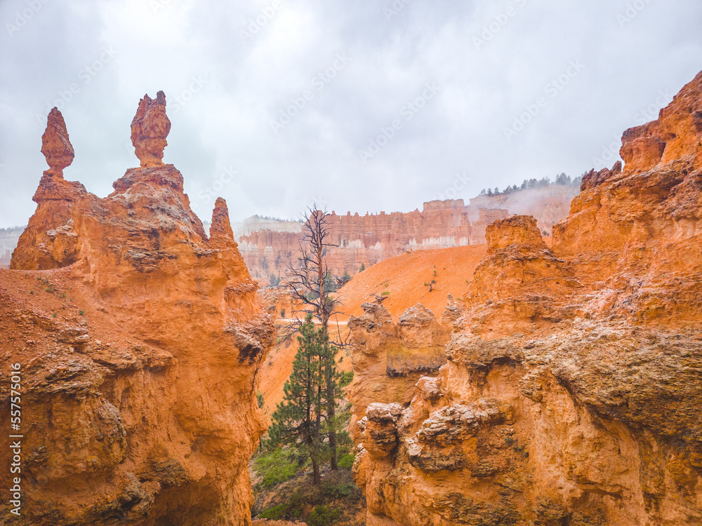 rainy weather at bryce canyon with cloud covered hoodoos