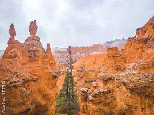 rainy weather at bryce canyon with cloud covered hoodoos