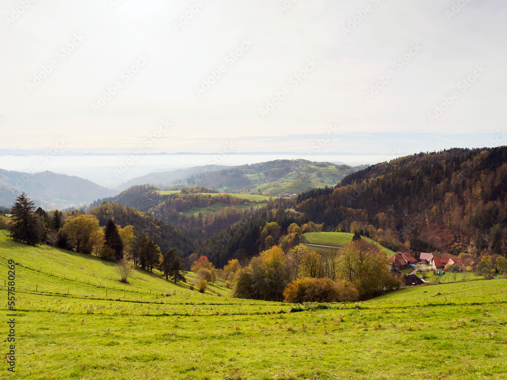 Schwarzwald Landschaft. Zeller Bergland mit guter Sicht nach Wiesental und Wehratal bis auf Jura, die Schweizer Alpenkette am Horizont