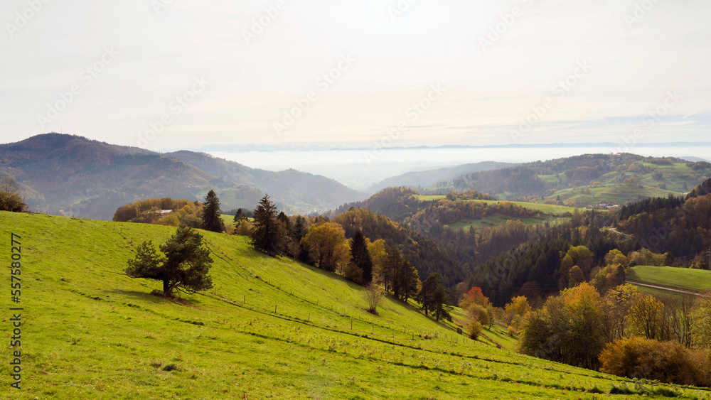 Schwarzwald Landschaft. Zeller Bergland. Spektakuläre aussicht von Zeller Blauen auf Hohe Möhr, Berge im Südosten, Wiesental, zell, die Schweizer Alpenkette und Jura am Horizont