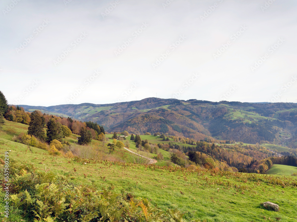 Naturpark Südschwarzwald. Zeller Bergland zwischen Basel und Feldberg. Zimmerplatz und grüne Weiden mit Blick auf Fröhnd und Gersbach