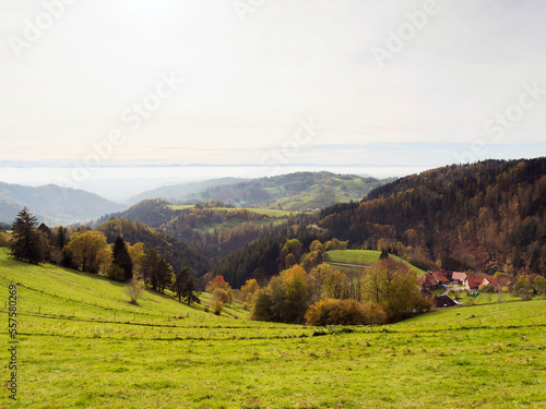 Schwarzwald Landschaft. Zeller Bergland mit guter Sicht nach Wiesental und Wehratal bis auf Jura, die Schweizer Alpenkette am Horizont © Marc