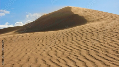 Sand dunes with wavy patterns of sands in Gobi Desert, Mongolia