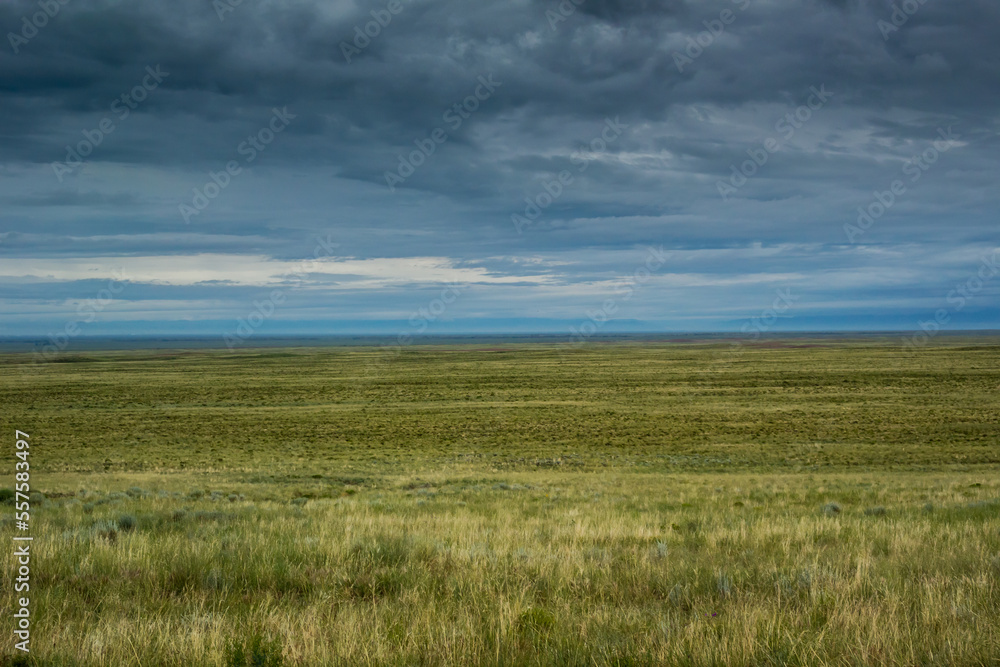 Fields of Grass in Colorado Plains