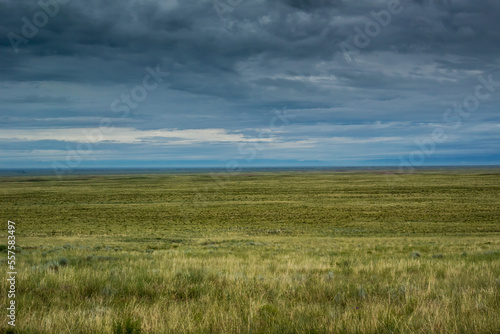 Fields of Grass in Colorado Plains